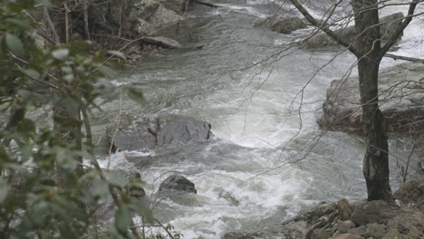 slow motion dolly to the right with leaves in foreground and flooded creek in background