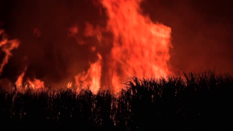 intense flames in a burning field fire at night