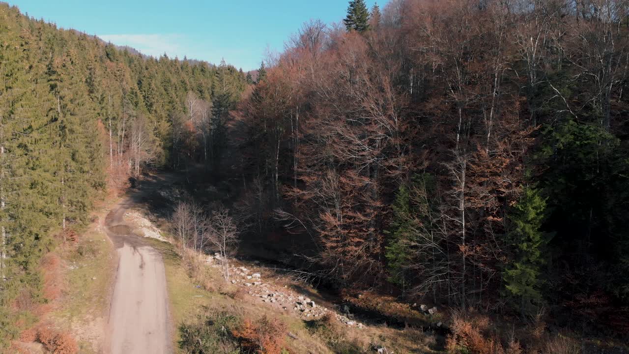 강과 잎이 없는 잎이 없는 숲, 화창한 가을날의 공중 전망 - 상승, 기울기, 드론 샷