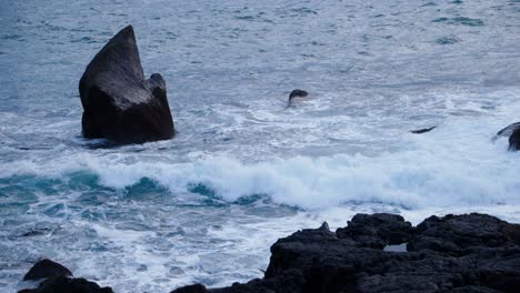 wave crashing on remote volcanic basalt shore in atlantic ocean island