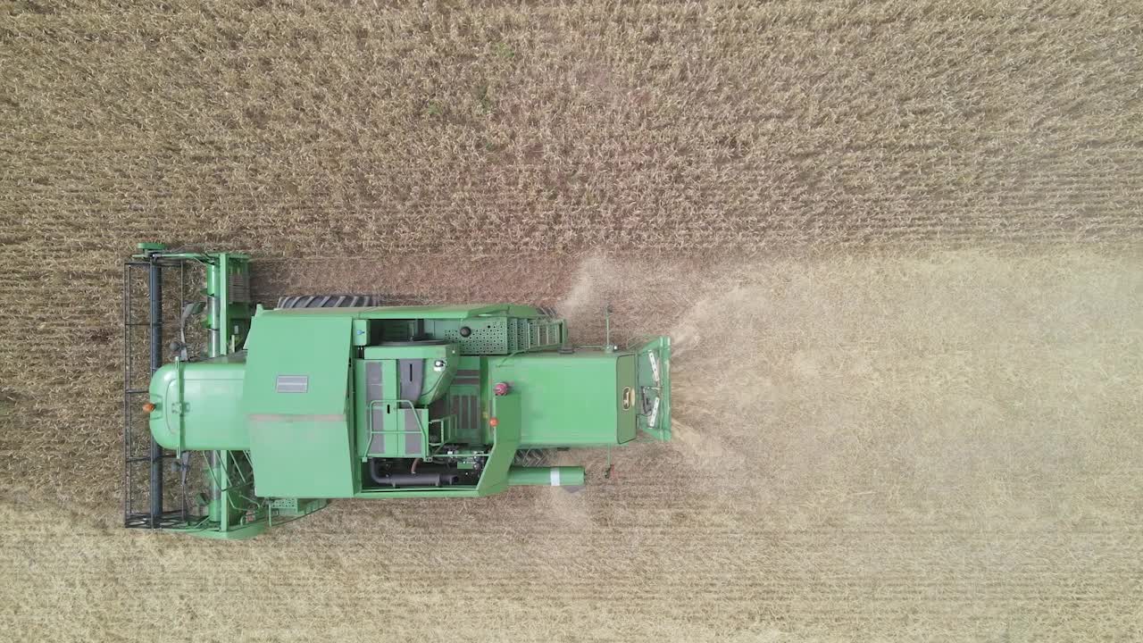 Drone view of mechanised wheat harvest in Somerset with combine harvester moving through wide countryside farmland