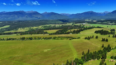 rising over the vast valley covered by the pine-tree woods. range of tatra mountains at backdrop. aerial view
