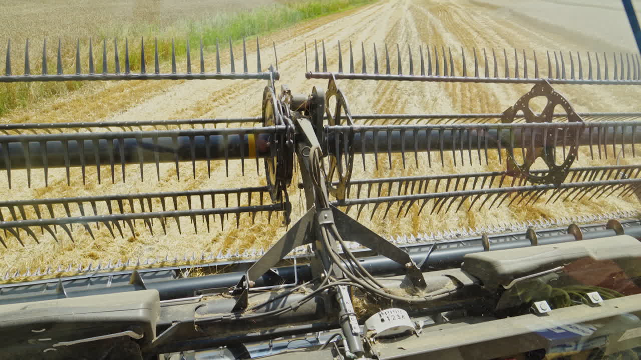 Rotating knives grain harvester. Metal part of combine harvester for harvesting in the yellow field. Agricultural machinery.