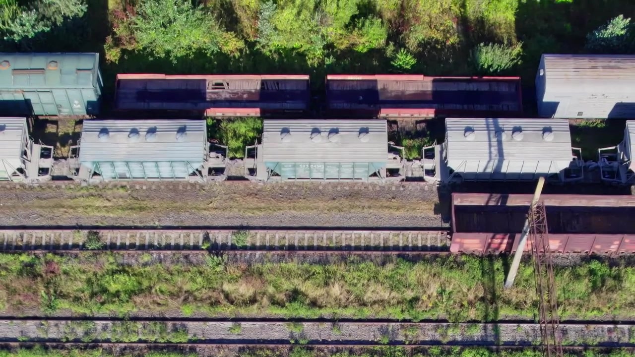 Trains parked on tracks surrounded by trees in bright daylight