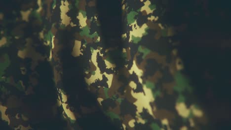 close-up view of military camouflage fabric