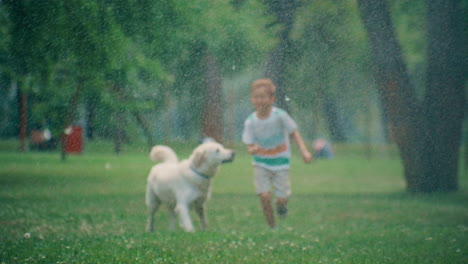 Fröhliches-Kleines-Kind,-Das-Einen-Golden-Retriever-Läuft-Und-Zusammen-Im-Sommerpark-Spielt.