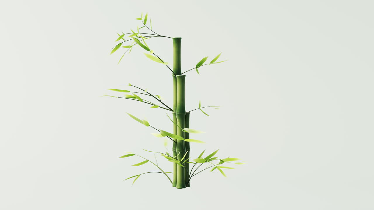 animación de bucle de fondo de planta de bambú natural verde, renderización en 3d.