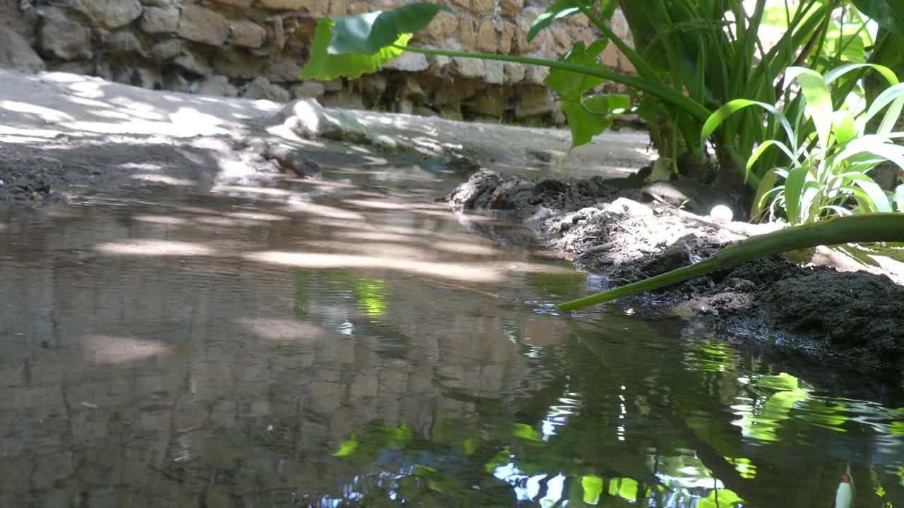Acqua che scorre in un torrente in Marocco