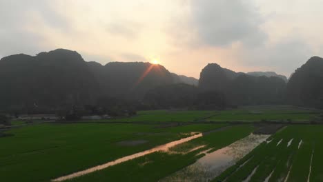 Wide-view-of-lush-green-rice-fields-at-Tam-coc-Ninh-binh-Vietnam,-aerial