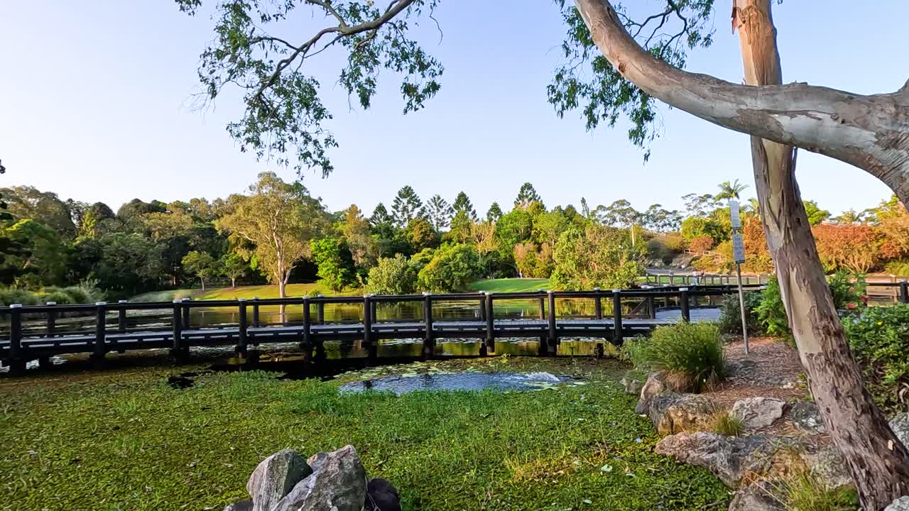 una escena tranquila en los jardines botánicos de la costa dorada
