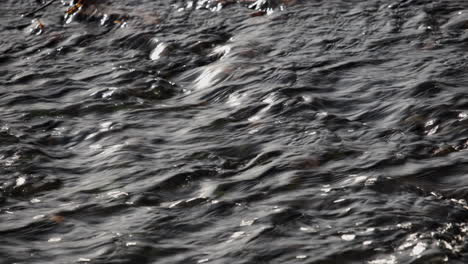 A-closeup-of-fast-flowing-water-in-the-River-Arrow,-Warwickshire,-UK-on-a-cold-autumn-day