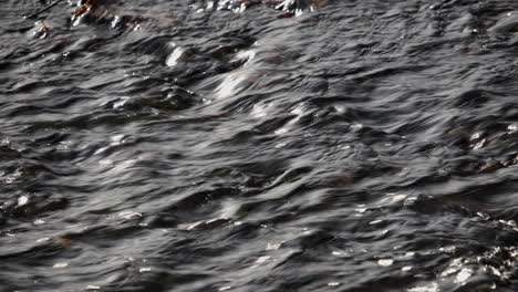 a closeup of fast flowing water in the river arrow, warwickshire, uk on a cold autumn day