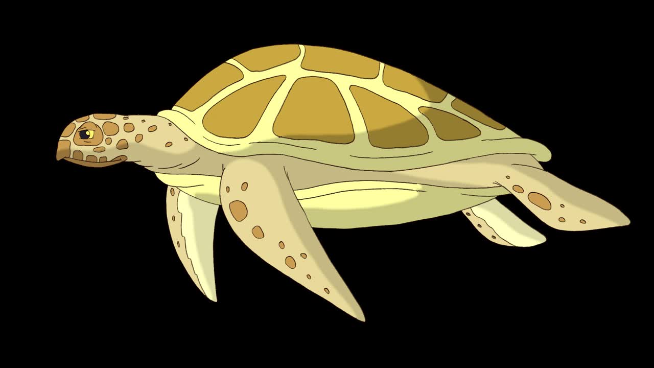 노란 거북이가 물 에서 헤엄치는 4k 알파 매트