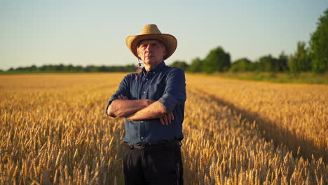 man in hat among ripe wheat. full-length portrait of a farmer on yellow field background in summer. agronomist in the farmland.
