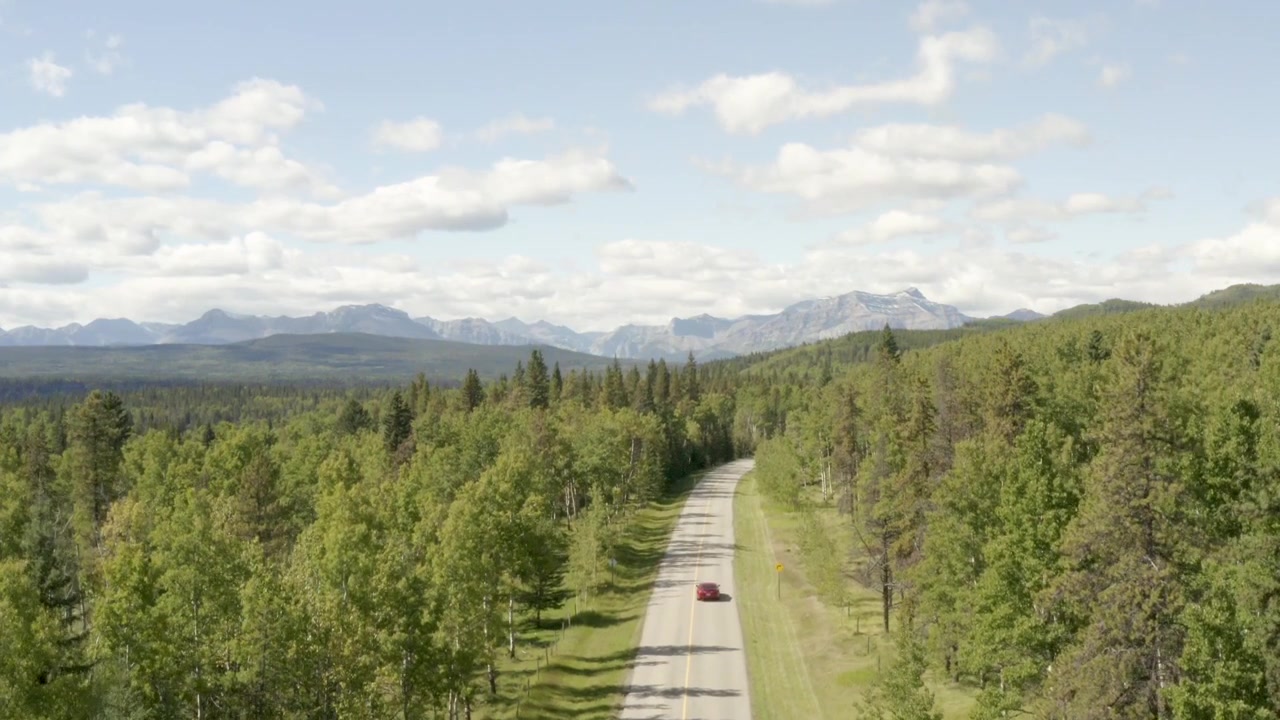 Vista dall'alto, seguendo da vicino un'auto rossa che percorre una strada fiancheggiata da una foresta verde. Cochrane, Alberta, Canada. Riprese drone 4K con tracciamento in avanti.