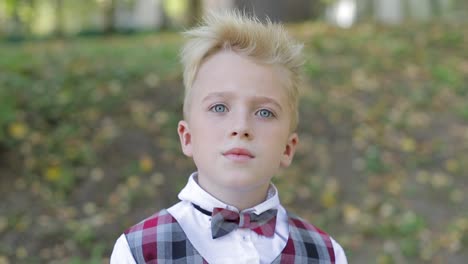 teen boy of european appearance close up a boy with blond hair a little boy with blond hair and gray eyes looks into the camera lens