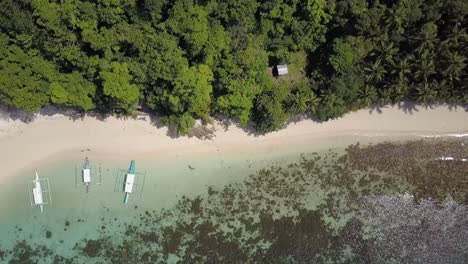 tiro aéreo hacia atrás desde una isla tropical verde con vegetación hasta una playa de arena con aguas cristalinas y arrecifes de coral en filipinas