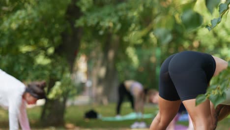clase de yoga al aire libre en un parque