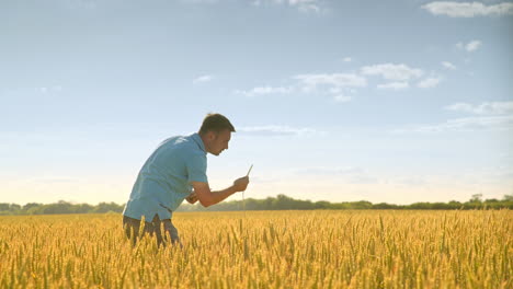 Agrarwissenschaftler,-Der-Im-Feld-Arbeitet.-Agrarforschung-Im-Erntefeld