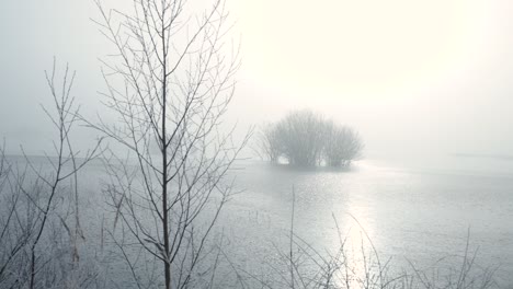 misty winter landscape over flooded field