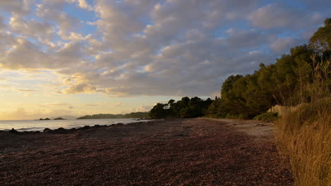 Tranquil-Scenery-Of-A-Beach-Covered-With-Posidonia-Seaweed-In-The-French-Riviera-coastline,-South-of-France---Wide-shot