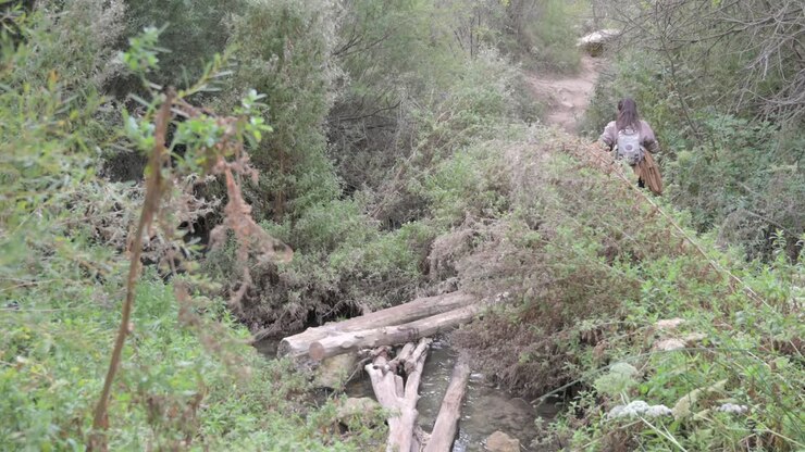 Woman Hiking Across a Log Bridge in a Forest