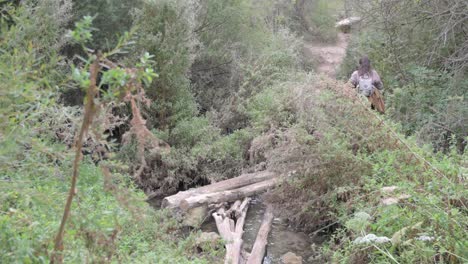 woman hiking across a log bridge in a forest