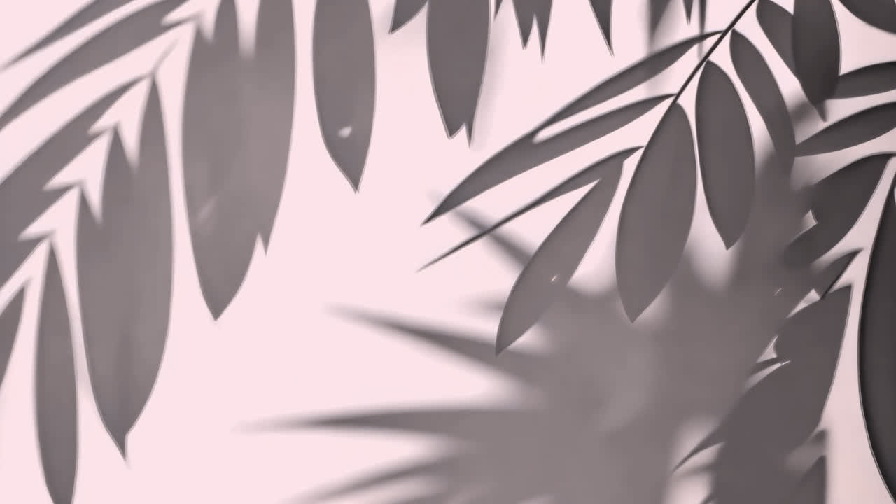 Elegant leaf shadow pattern animated overlay, transparent 4K video, alpha channel, ProRes 4444