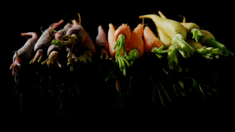 Carrots-and-radish-arranged-on-black-background-4k