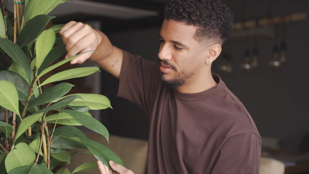 hombre afroamericano tocando planta verde