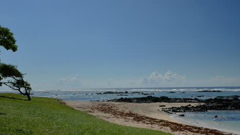 Una-Panorámica-De-Una-Playa,-Comenzando-En-Los-árboles-Y-Moviéndose-Hacia-El-Agua