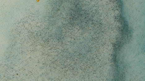 abstract blue and gray foam texture