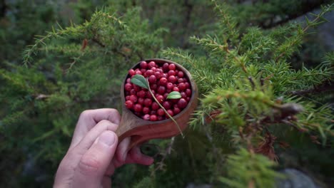 a person holding a cup of fresh lingonberries in the forest, close up