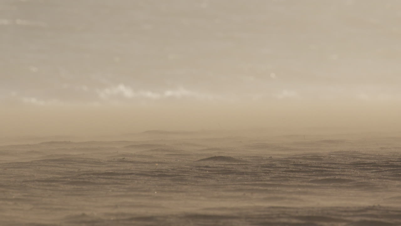 Misty Desert Landscape at Sunrise/Sunset