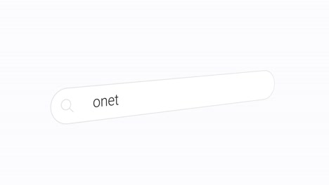 Typing-Onet-in-a-White-Search-Box