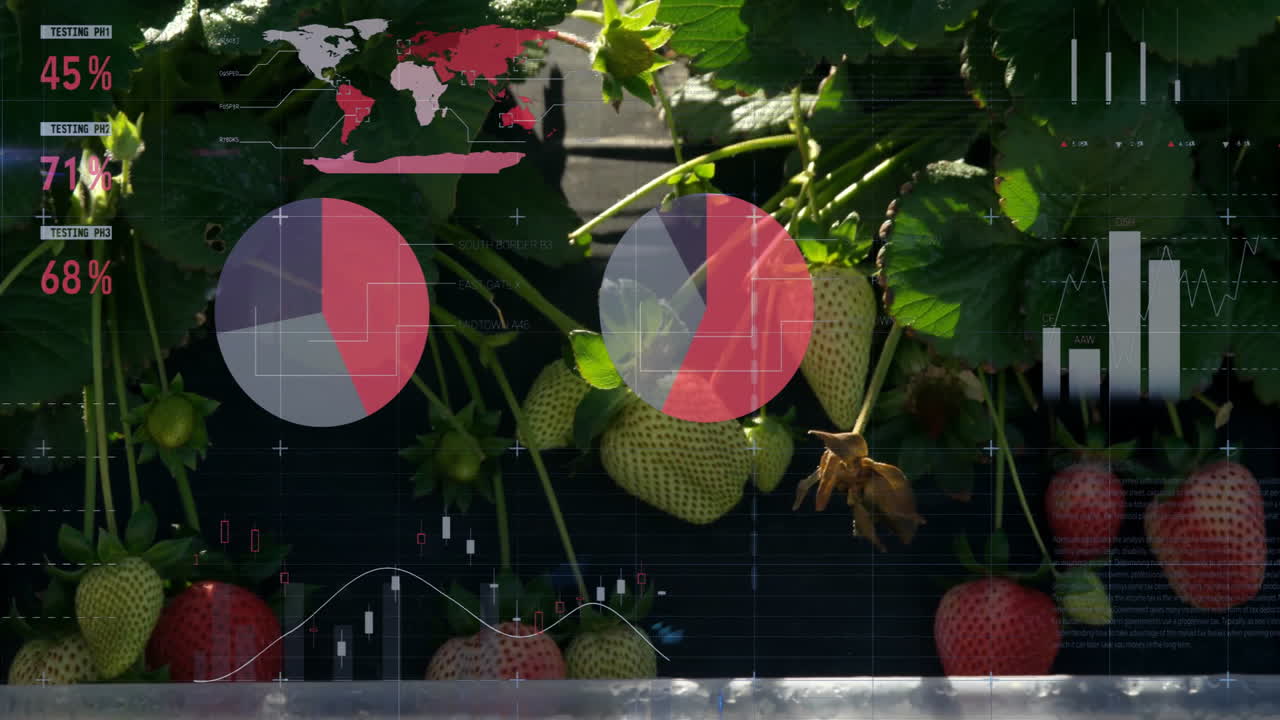 Animasjon av finansiell databehandling over hage