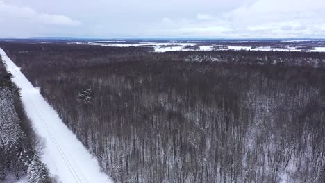 Bahngleise-Umgeben-Von-Trostlosem-Winterwald