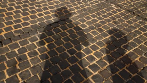 a man casting his own shadow while standing on a brick street pavement as other people pass by casting their own shadows as well