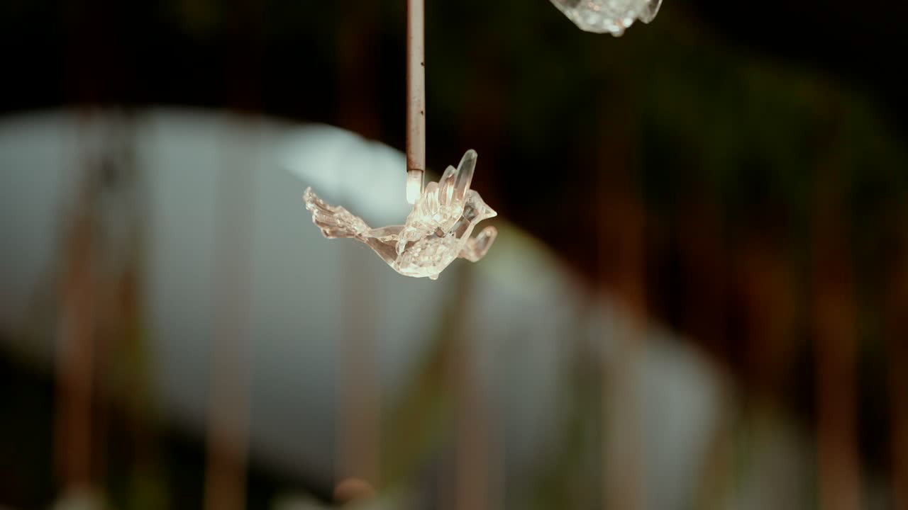 Fragile crystal bird ornament glimmers with ethereal charm