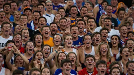 a vibrant crowd of excited fans cheering together, celebrating in unison with passionate expressions of joy and unity at a live event