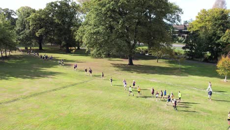 aerial view of runners competing in cross-country race on a beautiful autumn day - hagley park, christchurch