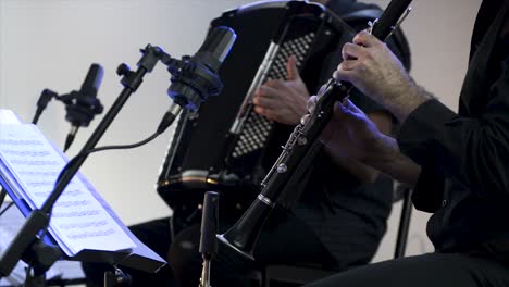 clarinetist and accordionist at concert, theater scene, clarinet, flat plane closeup