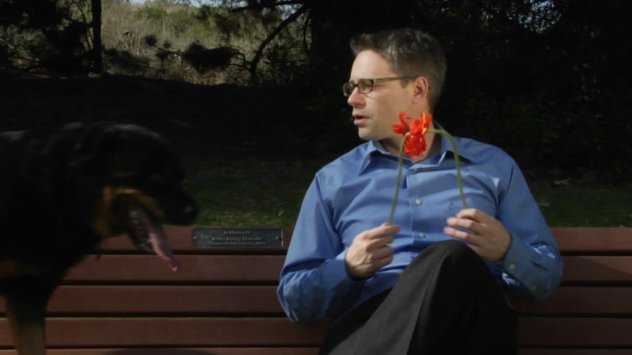 A dog jumps up onto the park bench so a man can pet him and give him attention
