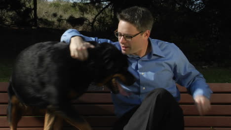 A-dog-jumps-up-onto-the-park-bench-so-a-man-can-pet-him-and-give-him-attention