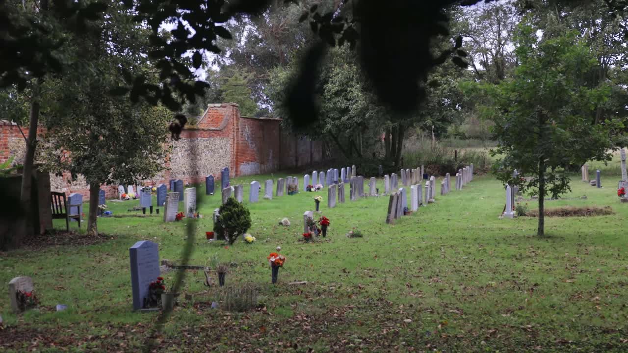 Slide right through holly bush to show graveyard with headstones and flowers. Daytime Overcast.