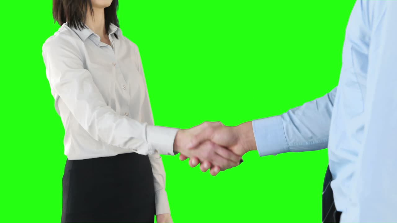 Business people handshaking