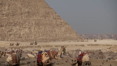 hermosas pirámides de egipto en áfrica