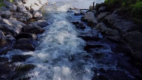 río con piedras y árboles al lado