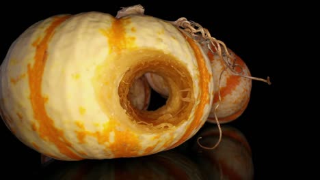 starting with one decorative gourd with multi-stranded stem in view and two others in background, pushing towards core opening but stopping before entering it