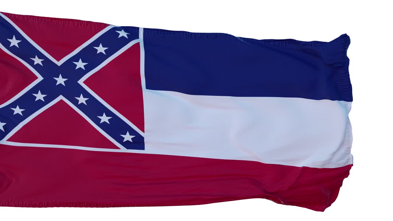 미시시피 발: 고립 된 현실적 인 애니메이션, 원활한 루프, 4k